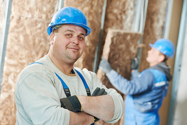 Best Spray Foam Insulation  in Rio Grande City, TX